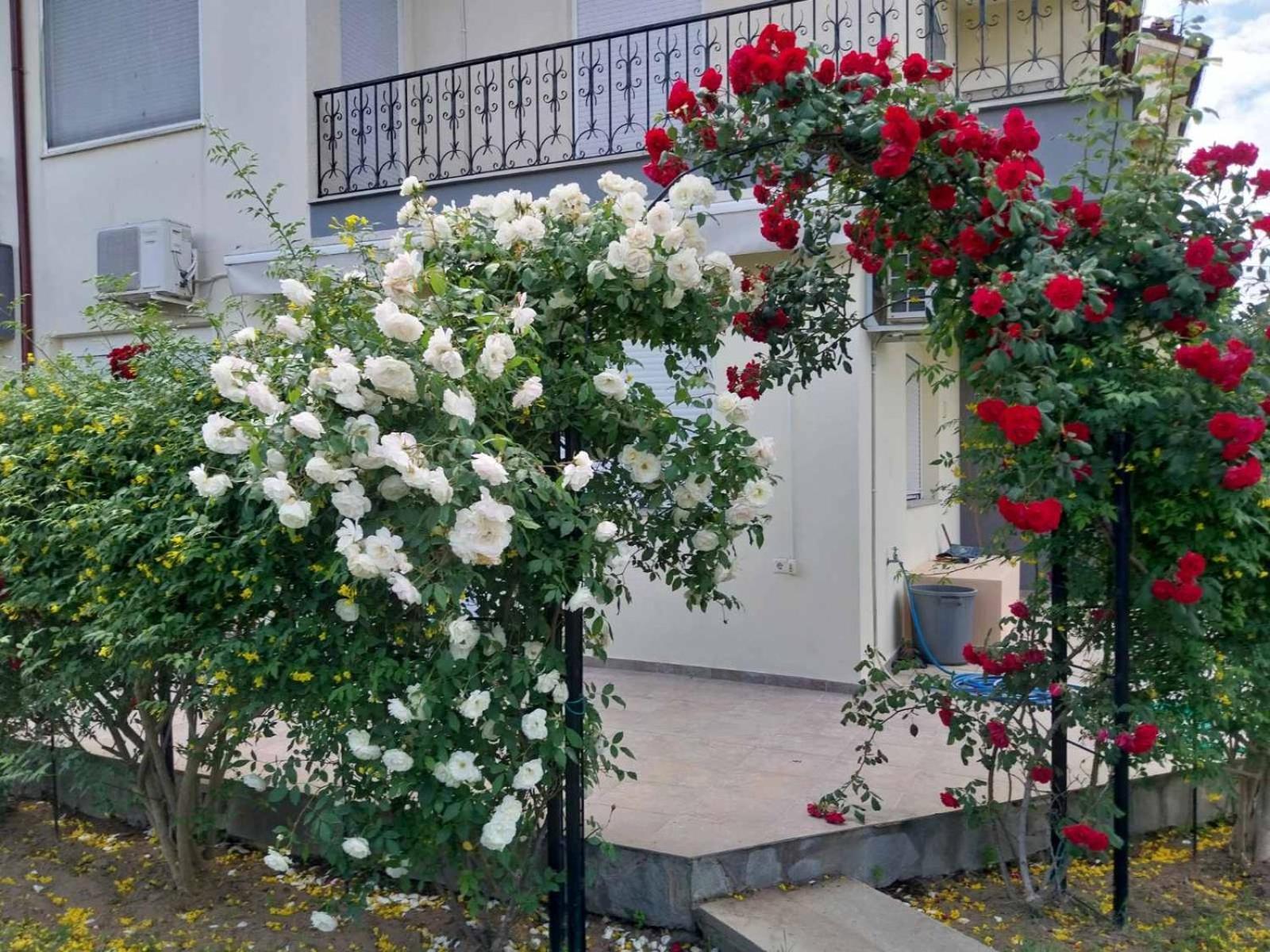Apartmán Erofilio Keramotí Exteriér fotografie